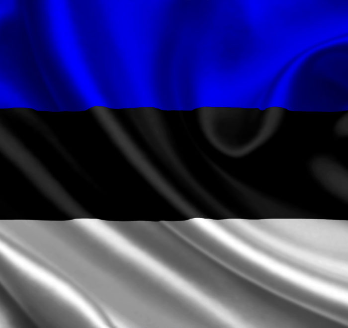perusahaan bentukan estonia buat perusahaan di estonia buat perusahaan di estonia fidulink
