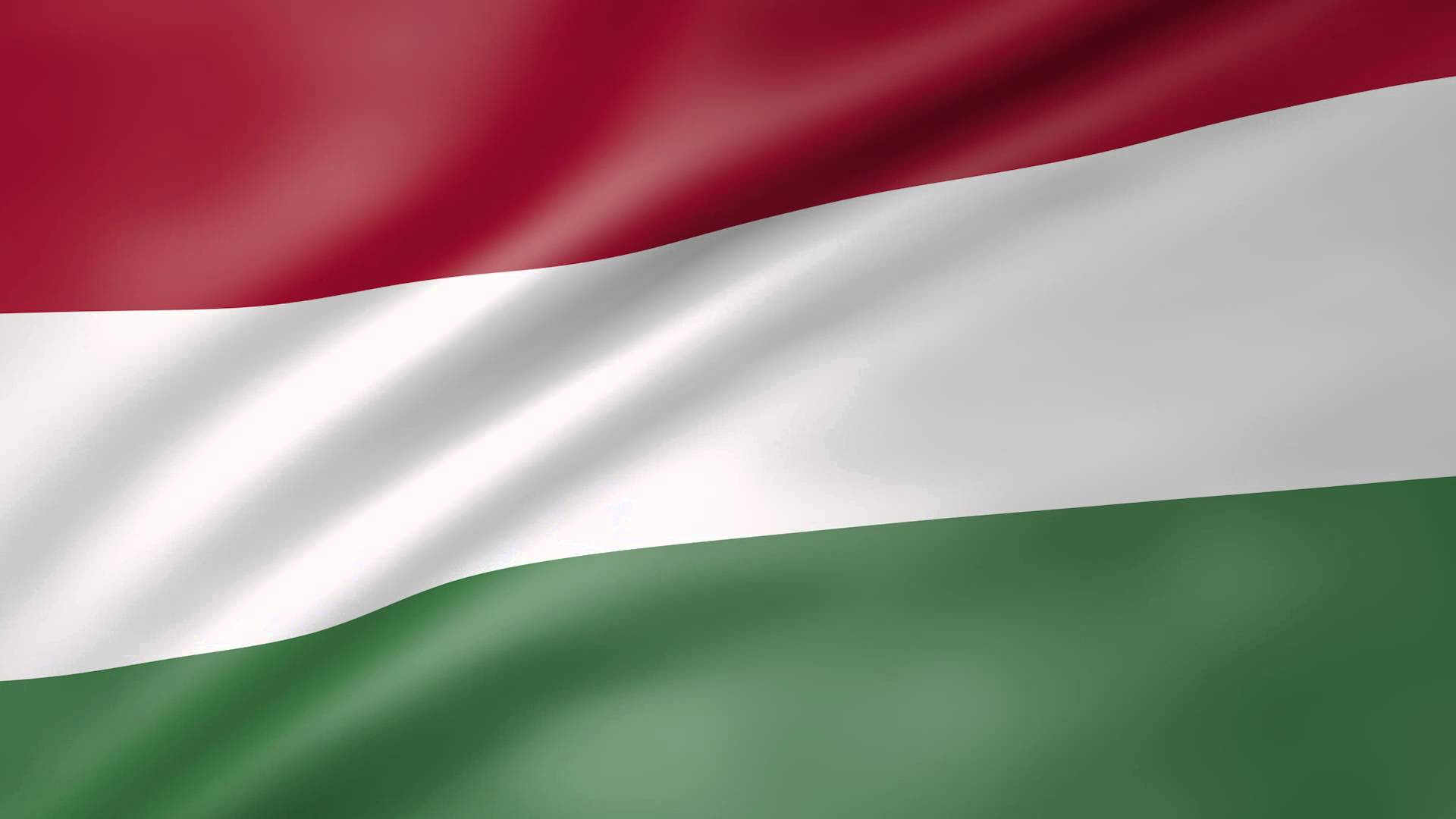 създаване на компания в Унгария стартиране на компания в Унгария Създаване на компания в Унгария с fidulink
