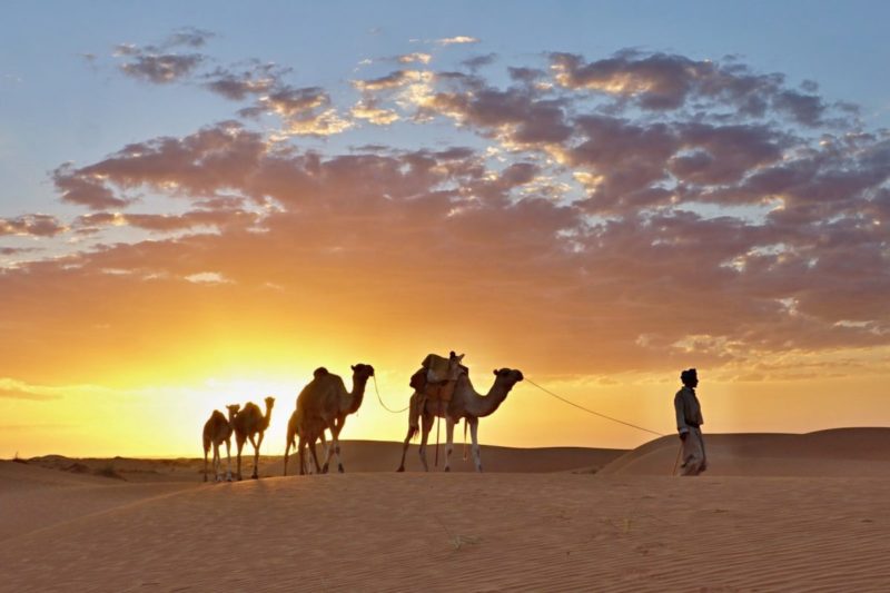 MAURITANIEN opretter firma Mauretanien oprettelsesfirma mauritania domicilitet mauritania bankkonto mauritania